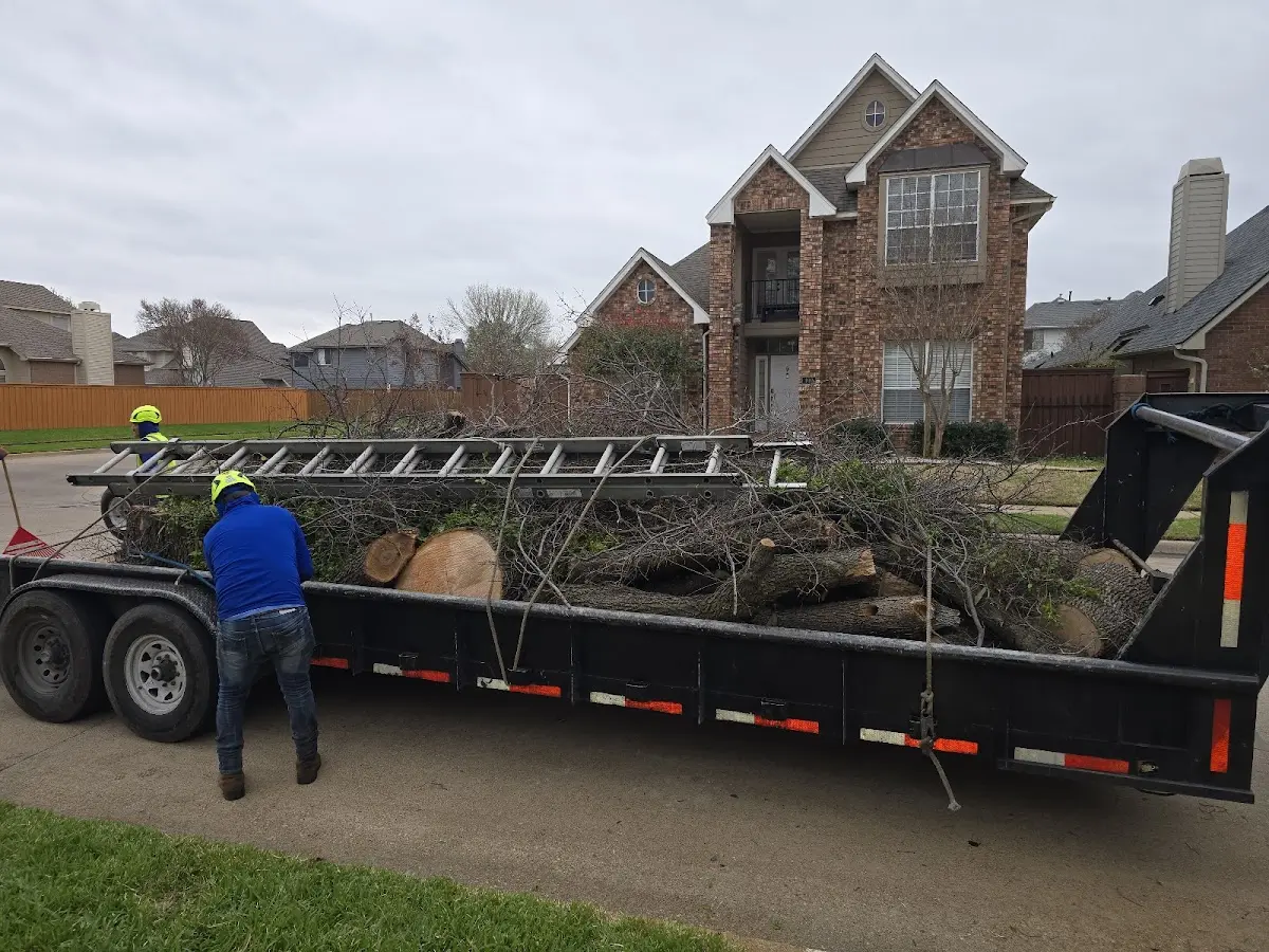 Expert Lot Clearing with proper safety equipment in Lueders